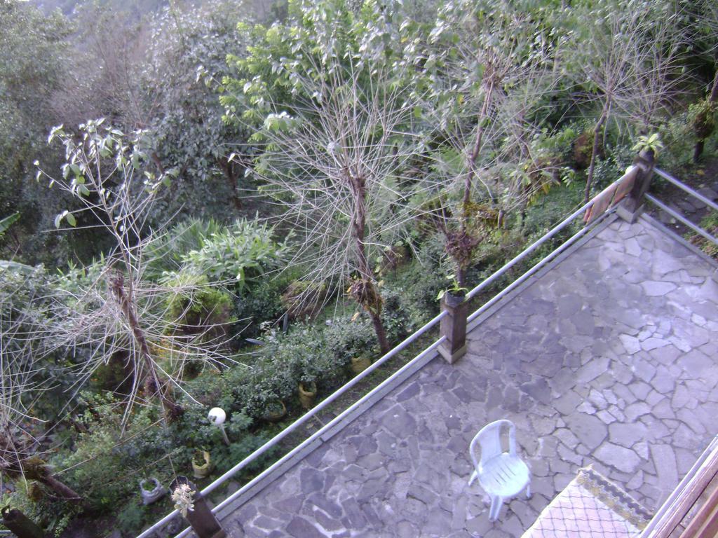 Deolo Cliff Eco Resort Kalimpong Exterior foto